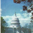 District Of Columbia Postcard Washington United States Capitol Autumn Leaves