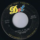 Pat Boone Pictures In The Fire 45 rpm I'll See You In My Dreams Canadian Press