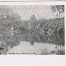 Postcard Avon Lake Avondale Pennsylvania Herald Electric Print