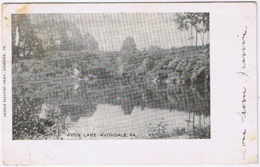 Postcard Avon Lake Avondale Pennsylvania Herald Electric Print