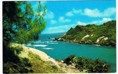 Barbados Caribbean Island Postcard Cove Bay St Lucy