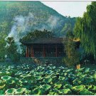 Postcard The Dragon Kiosk China