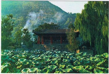 Postcard The Dragon Kiosk China