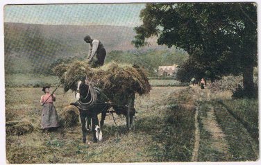 United Kingdom UK Scotland Postcard Hay Harvest Pitchfork 1904