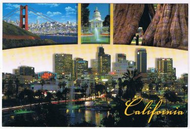 California Postcard Golden State Multi View San Francisco Los Angeles Sequoia