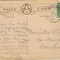 Greeting Postcard Birthday Wish Butterfly Potted Plant 1926