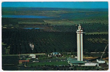 Florida Postcard Clermont Citrus Tower Aerial View