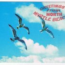 Florida Postcard Greetings From North Myrtle Beach