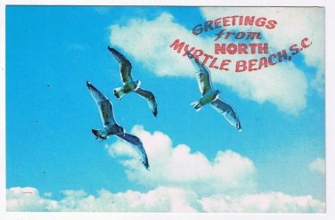 Florida Postcard Greetings From North Myrtle Beach