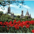 Ontario Postcard Ottawa Parliament Buildings Tulips Major Hill Park