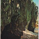 Nova Scotia Postcard Ovens Natural Park Ocean Highway