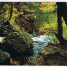 Virginia Postcard Brink Lewis Falls Shenandoah National Park