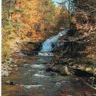 Ontario Postcard River Waterfall Autumn Leaves
