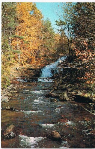 Ontario Postcard River Waterfall Autumn Leaves
