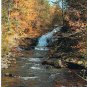 Ontario Postcard River Waterfall Autumn Leaves