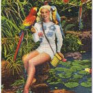 Florida Postcard Miami Parrot Jungle Young Lady With Parrots