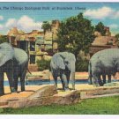 Illinois Postcard Brookfield Elephants Chicago Zoological Park