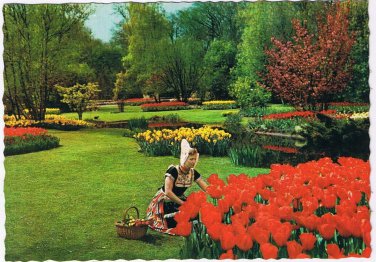 Netherlands Holland Postcard Tulip Gardens Dutch Costume