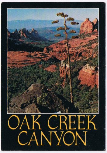 Arizona Postcard Oak Creek Canyon