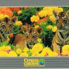 Florida Postcard Cypress Gardens Tiger Cuba & Marigolds