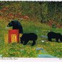 Ontario Postcard Black Bears Feeding