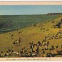 New Brunswick Postcard Moncton Bathing Beach Point du Chene