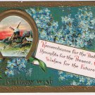 Greeting Postcard Embossed Birthday Forget Me Nots Windmill Scene