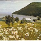 Quebec Postcard Daisies and Village By The Sea