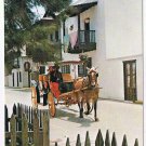 Florida Postcard St Augustine San Agustin Antiguo Casa Ribera Horse Buggy