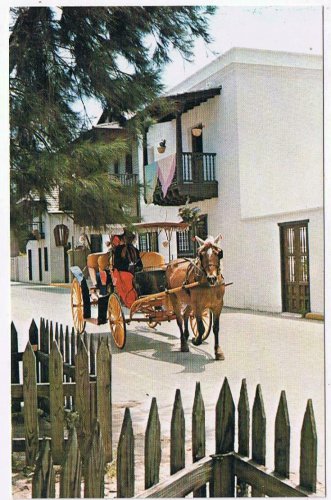Florida Postcard St Augustine San Agustin Antiguo Casa Ribera Horse Buggy