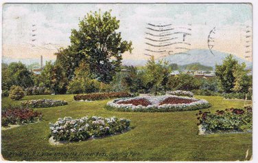 New York Postcard Newburg Flower Beds Downing Park 1911