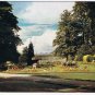 United Kingdom UK Postcard Bath Somerset Royal Crescent Gardens