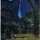 California Postcard Yosemite Falls & Merced River