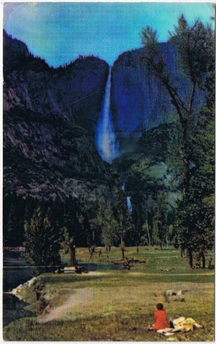 California Postcard Yosemite Falls & Merced River