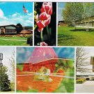 New York Postcard Painted Post Lodge On The Green