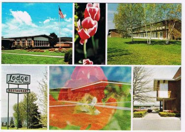New York Postcard Painted Post Lodge On The Green
