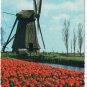 Netherlands Holland Postcard Windmill Canal Tulips