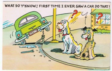 Comic Postcard First Time I Ever Saw A Car Do That Dogs