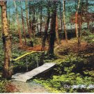 New Jersey Postcard Mt Arlington The Glen Bridge Germany