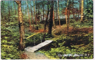 New Jersey Postcard Mt Arlington The Glen Bridge Germany