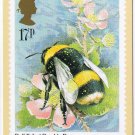 United Kingdom Postcard Stamps Insects 1985 17p Buff Tailed Bumble Bee