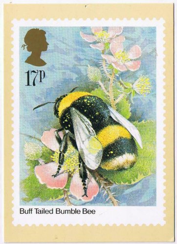 United Kingdom Postcard Stamps Insects 1985 17p Buff Tailed Bumble Bee
