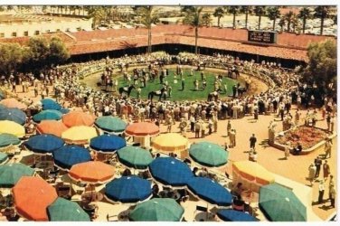 Del Mar California Postcard Del Mar Turf Club Paddock
