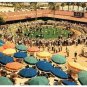 Del Mar California Postcard Del Mar Turf Club Paddock