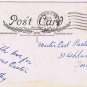 Kitchener Ontario Postcard Easter Grand Dress Rabbits Ducks Whitney Made 1920