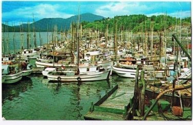 Prince Rupert British Columbia Postcard Fishing Fleet Halibut Capital of World