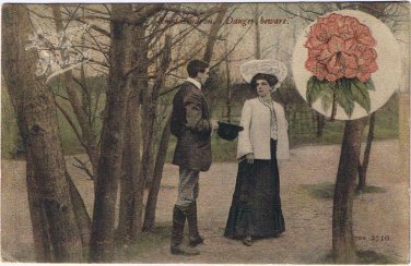 United Kingdom UK Postcard Language Of Flowers Rhododendron Danger Beware 1908
