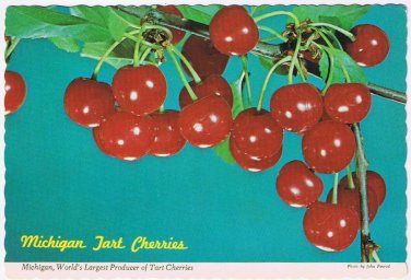 Postcard Tart Cherries Michigan World's Largest Producer