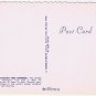 Postcard Tart Cherries Michigan World's Largest Producer