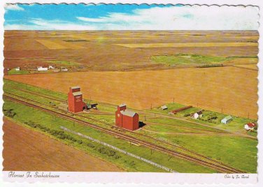 Saskatchewan Postcard Harvest Wheat Fields Barns Breadbasket Of The World